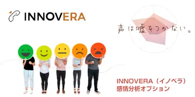 INNOVERA 感情分析オプション