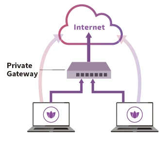 Internet Access Hybrid